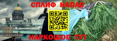 индика Славгород