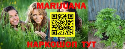 индика Славгород