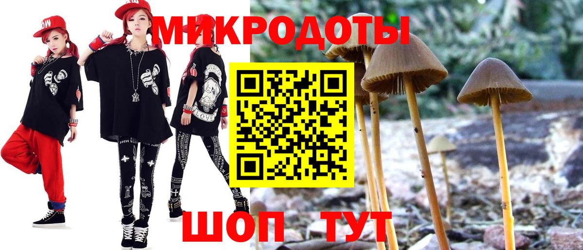 Галлюциногенные грибы прущие грибы  Вход с VPN  Галлюциногенные грибы мицелий  как найти   Новороссийск 